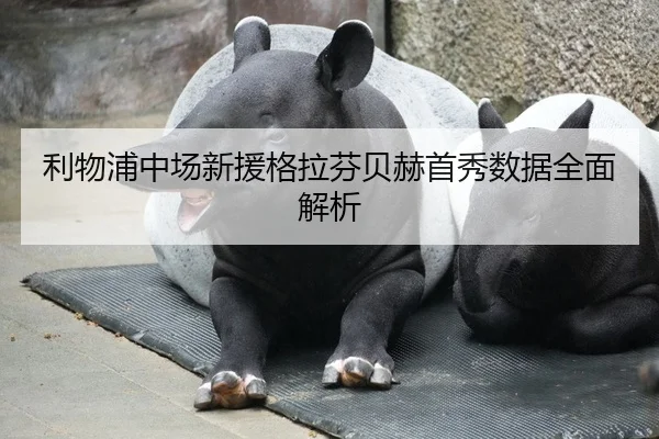 利物浦中场新援格拉芬贝赫首秀数据全面解析